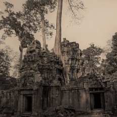 Siem Reap, Angkor Wat, Cambodia