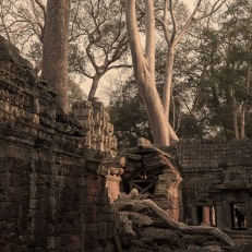 Siem Reap, Angkor Wat, Cambodia