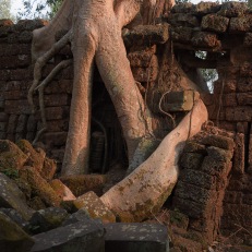 Siem Reap, Angkor Wat, Cambodia
