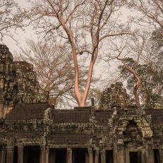 Siem Reap, Angkor Wat, Cambodia