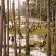 Siem Reap, Angkor Wat, Cambodia
