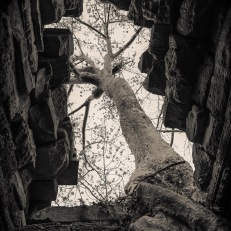 Siem Reap, Angkor Wat, Cambodia