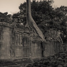 Siem Reap, Angkor Wat, Cambodia