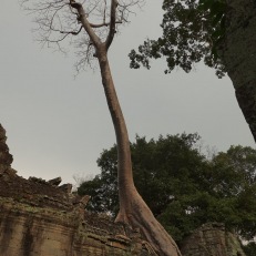 Siem Reap, Angkor Wat, Cambodia