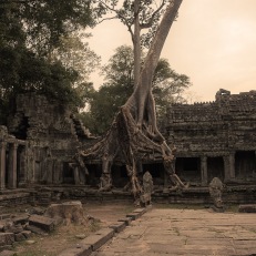 Siem Reap, Angkor Wat, Cambodia