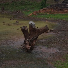 Siem Reap, Angkor Wat, Cambodia