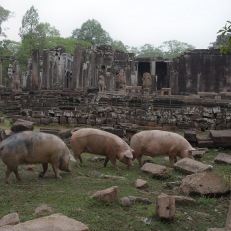 Siem Reap, Angkor Wat, Cambodia
