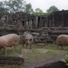 Siem Reap, Angkor Wat, Cambodia