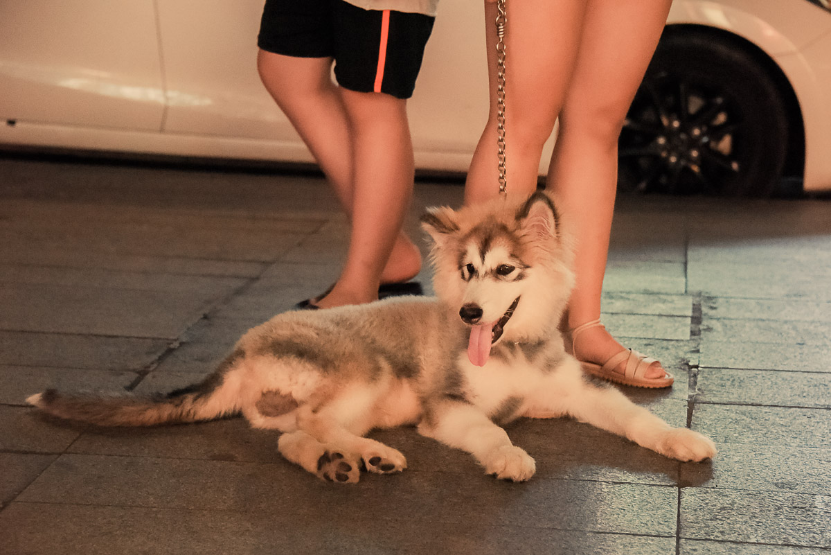 Ho Chi Minh City (Saigon)