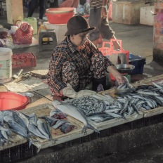 An Bang Morning Market, Vietnam