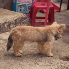 An Bang, Vietnam