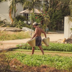 An Bang, Vietnam