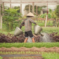 An Bang, Vietnam