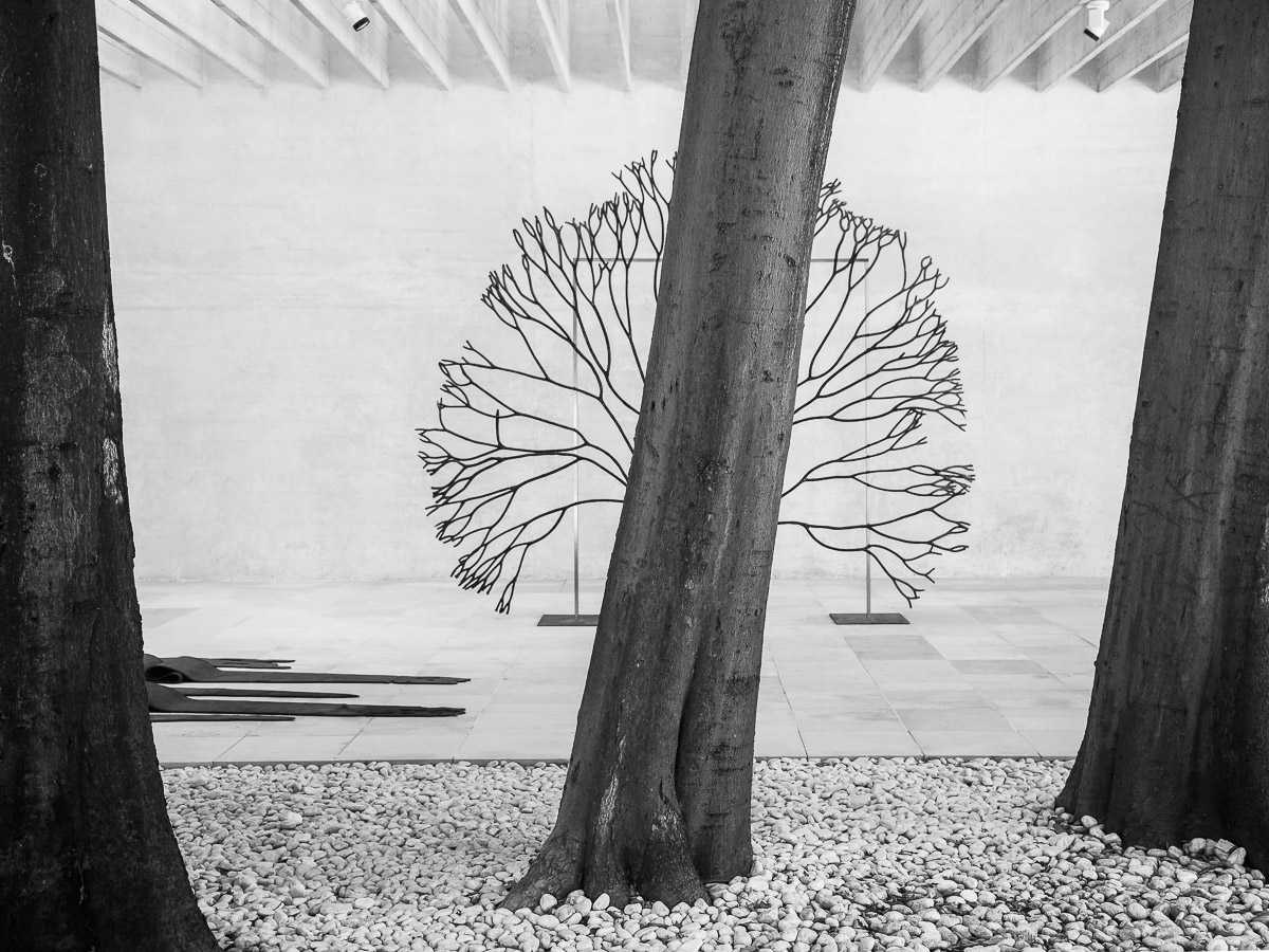 Venedig Biennale 2019