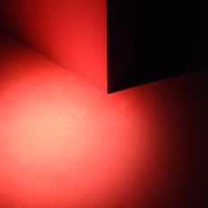 Venedig Biennale 2019