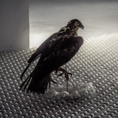 Venedig Biennale 2019
