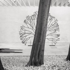 Venedig Biennale 2019