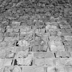Venedig Biennale 2019