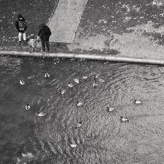 Paris, Parc des Buttes-Chaumont