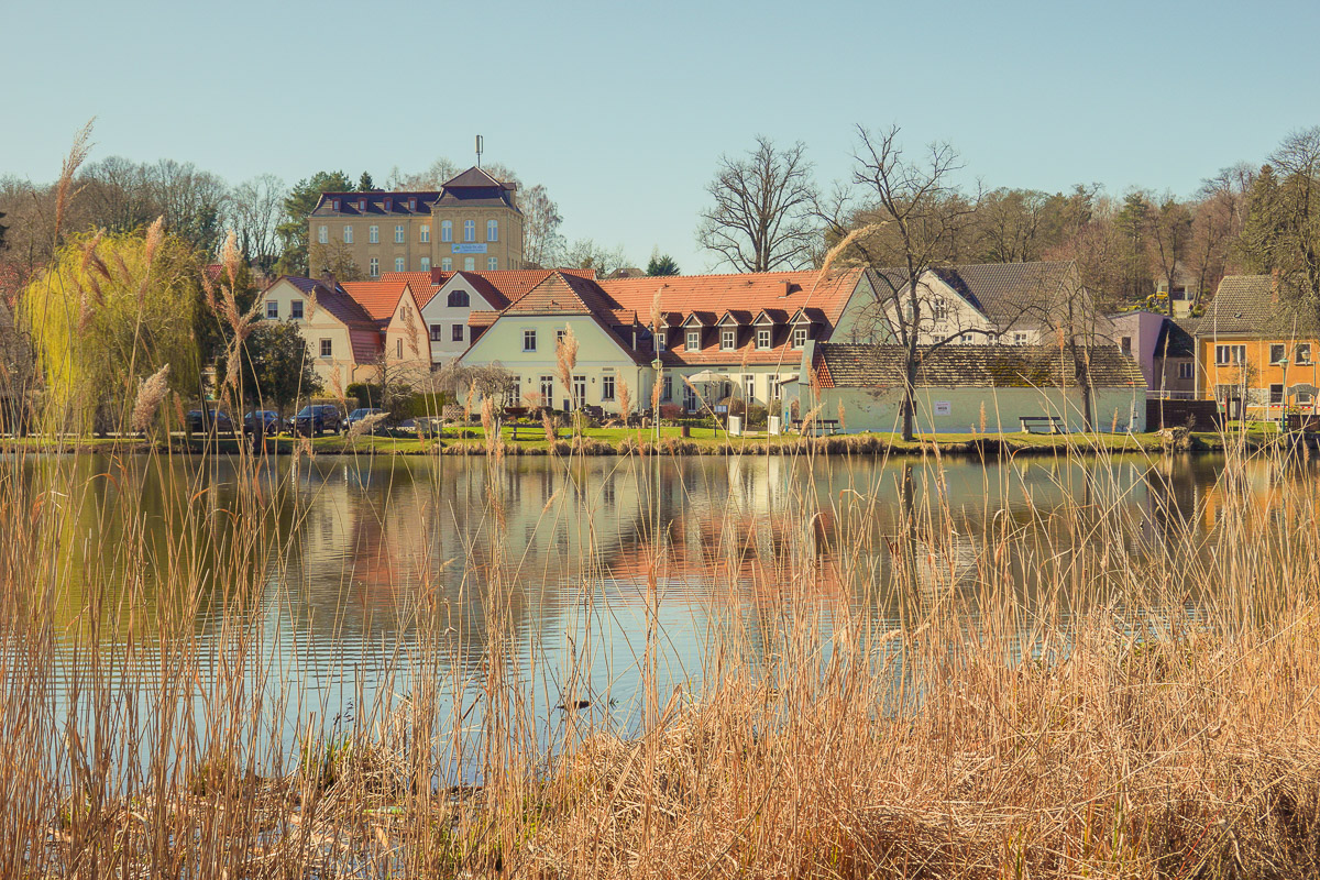 Kloster Neuzelle, Klosterteich