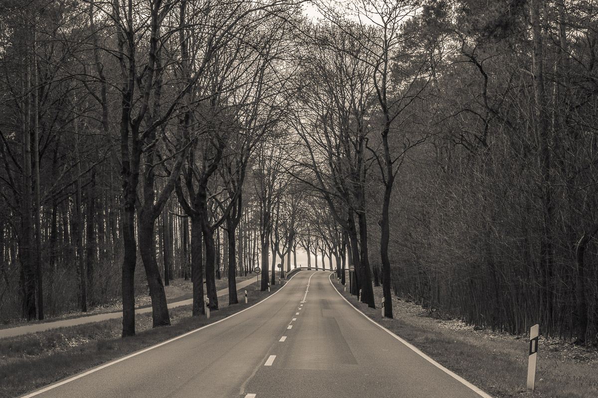 bei Beelitz, Richtung Bad Belzig