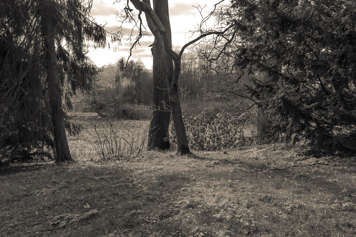 Schloss Wiesenburg, Schlosspark