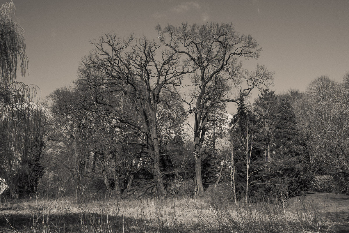 Schloss Wiesenburg, Schlosspark