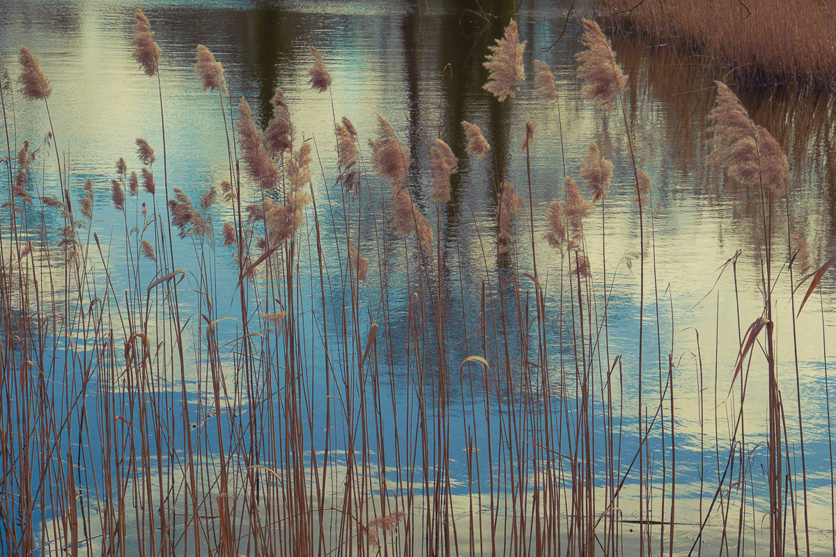 Schloss Wiesenburg, Schlosspark