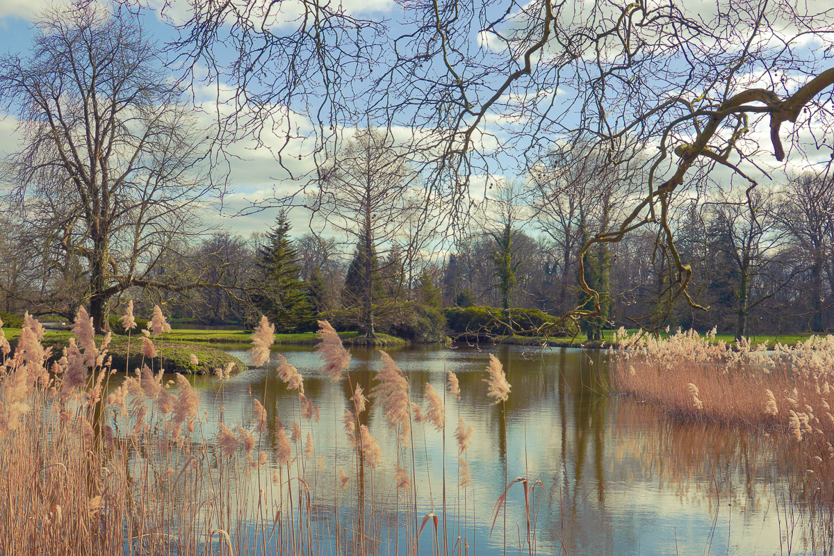 Schloss Wiesenburg, Schlosspark
