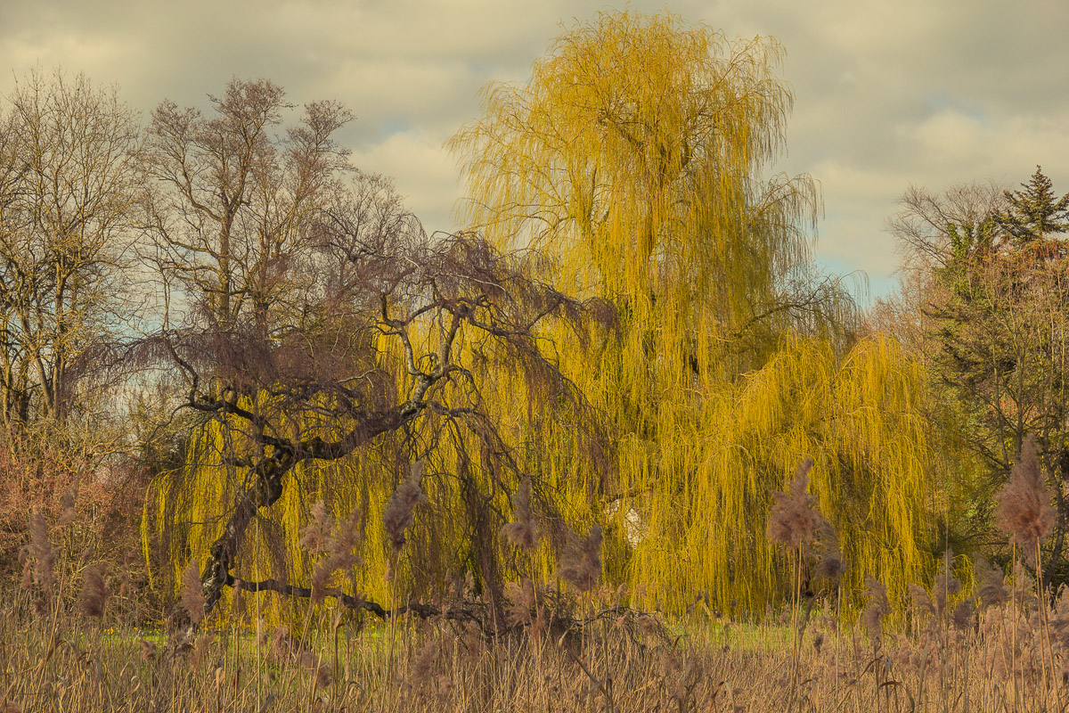 Schloss Wiesenburg, Schlosspark