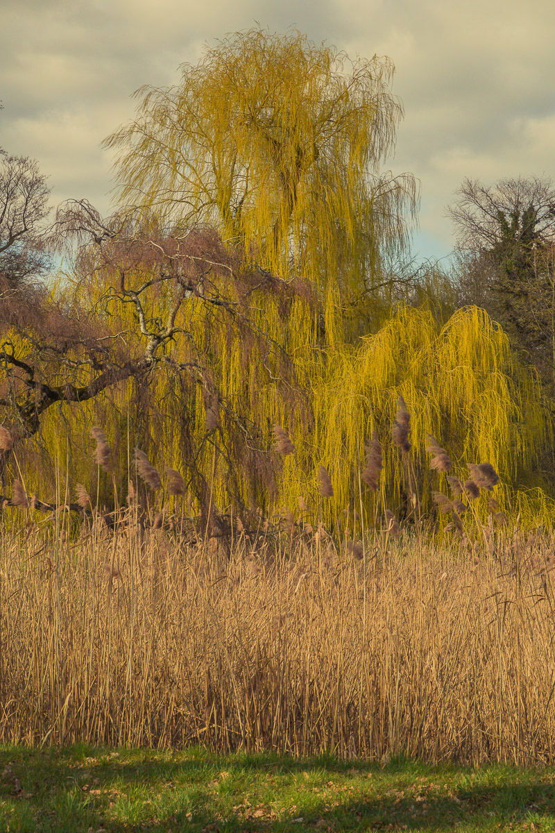 Schloss Wiesenburg, Schlosspark