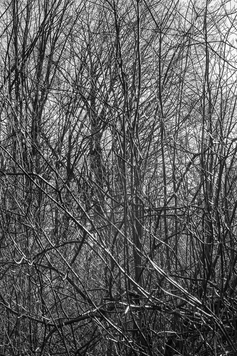 Schloss Wiesenburg, Schlosspark