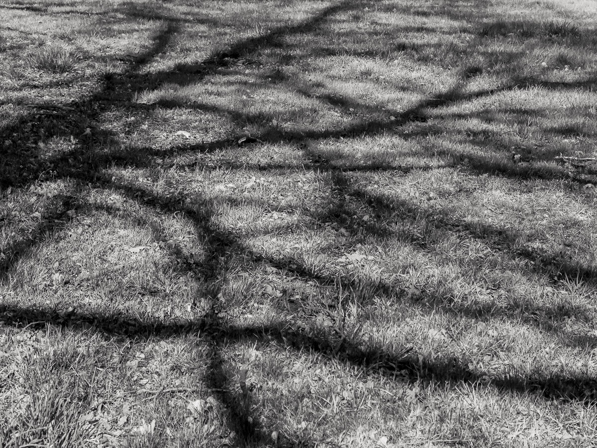 Schloss Wiesenburg, Schlosspark