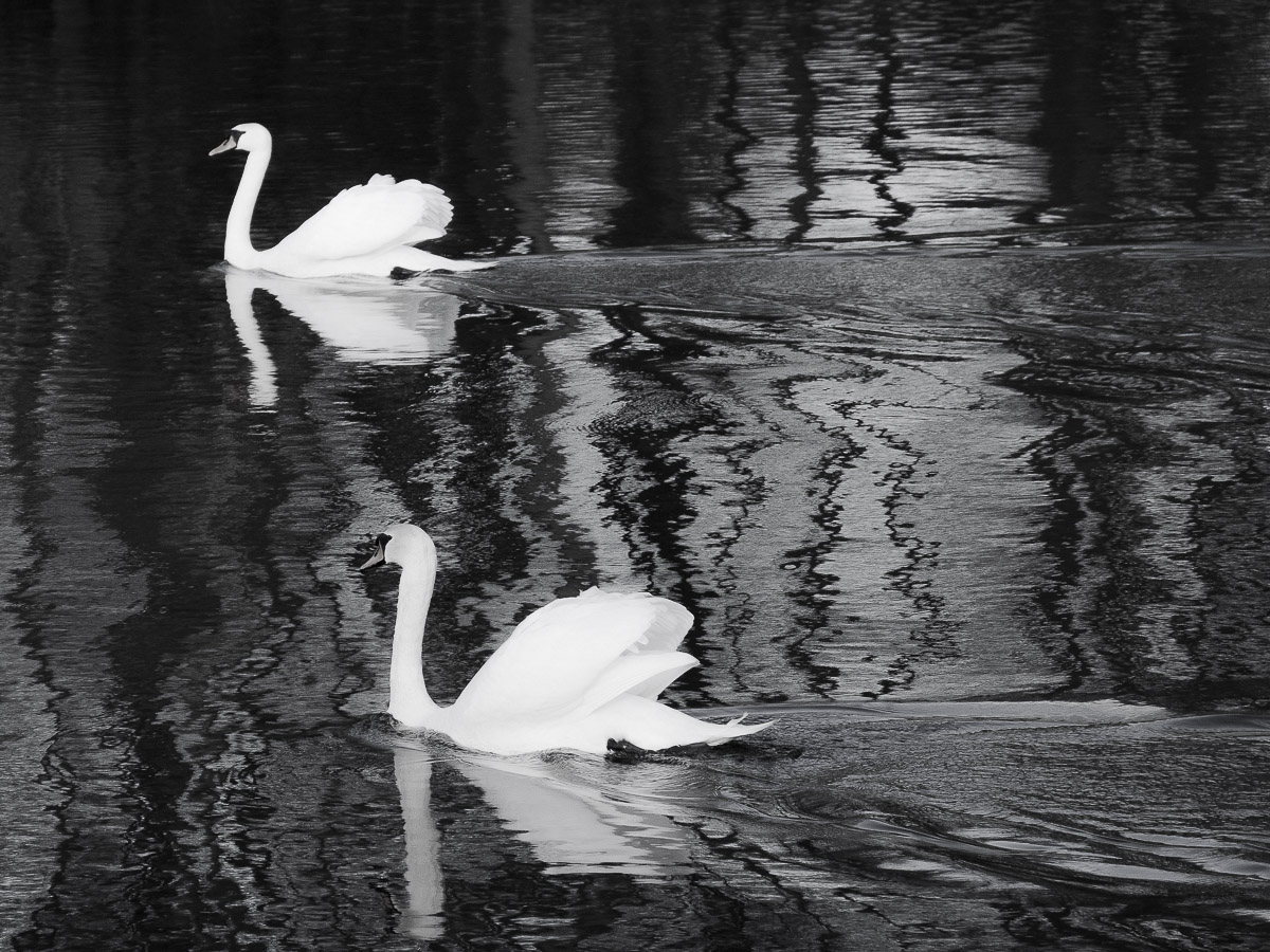 Schloss Wiesenburg, Schlosspark