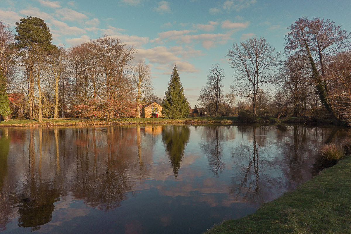 Schloss Wiesenburg, Schlosspark