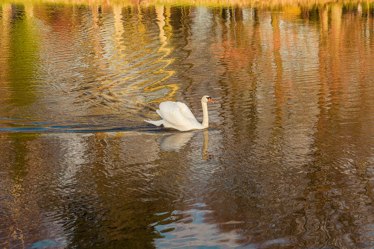 Schloss Wiesenburg, Schlosspark
