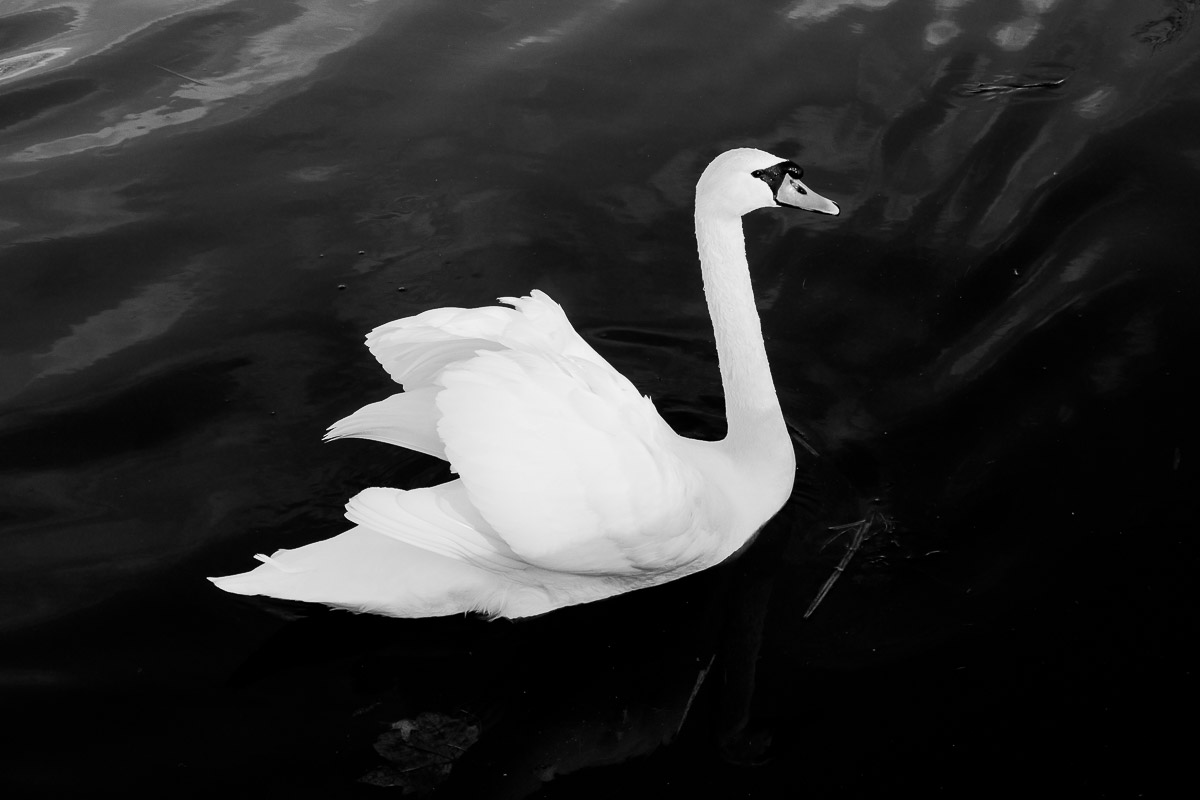 Schloss Wiesenburg, Schlosspark