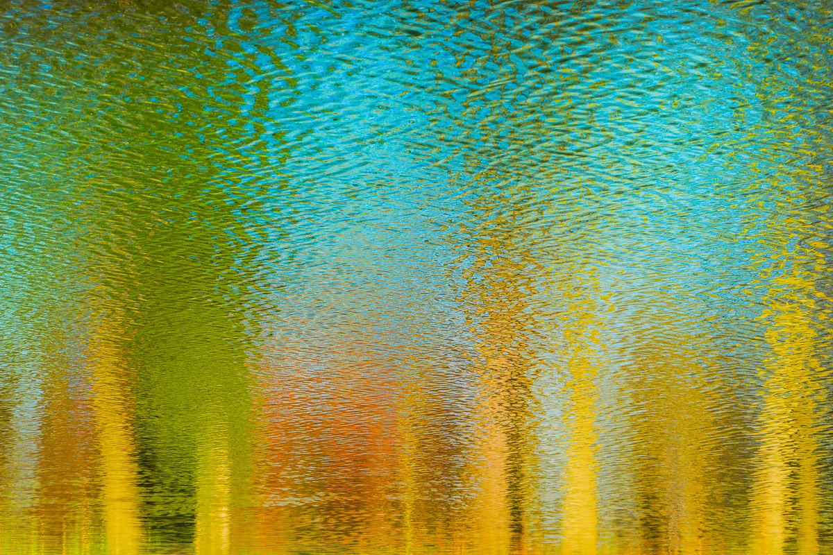 Schloss Wiesenburg, Schlosspark