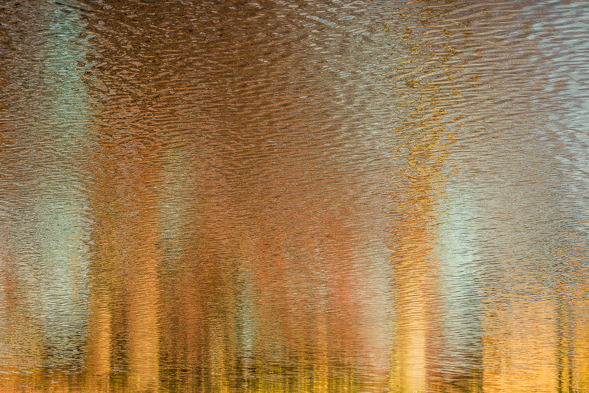 Schloss Wiesenburg, Schlosspark