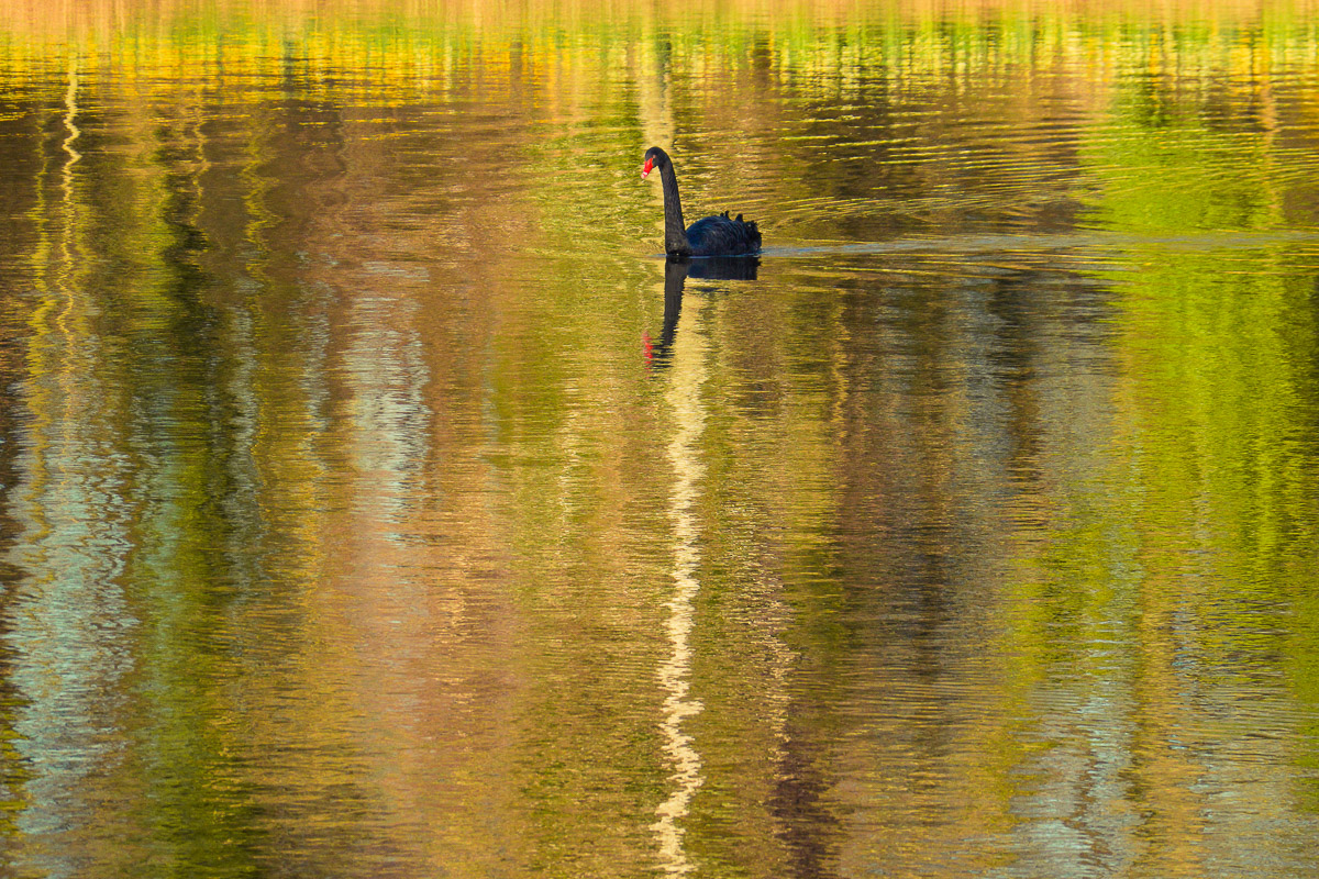 Schloss Wiesenburg, Schlosspark