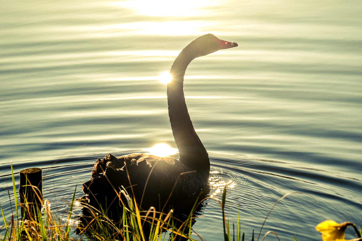 Schloss Wiesenburg, Schlosspark