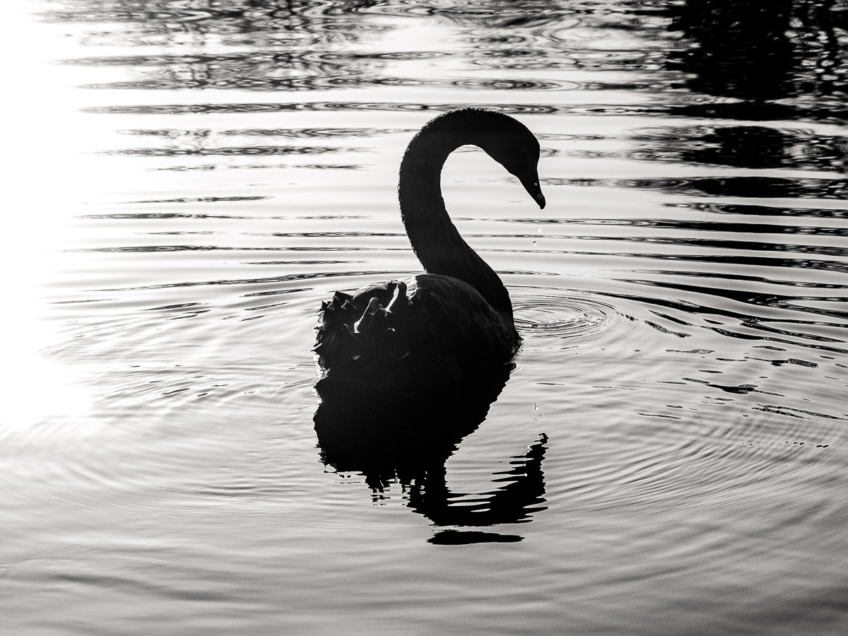 Schloss Wiesenburg, Schlosspark