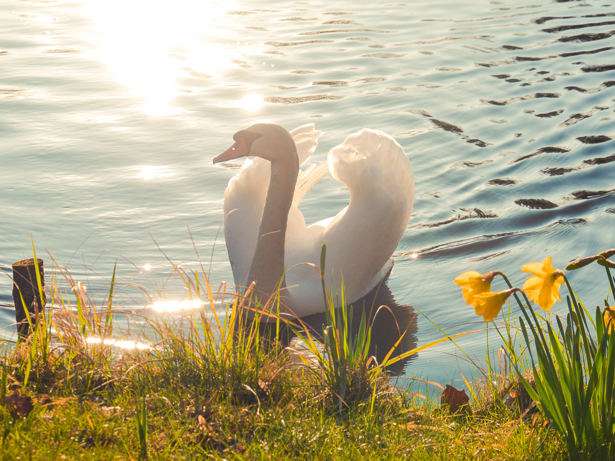 Schloss Wiesenburg, Schlosspark