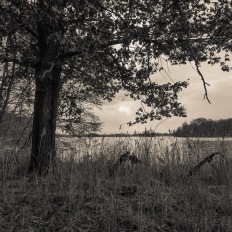 Seddinsee
