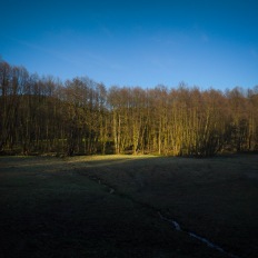 Schlaubetal