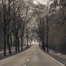 bei Beelitz, Richtung Bad Belzig