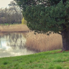 Schloss Wiesenburg, Schlosspark