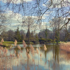 Schloss Wiesenburg, Schlosspark