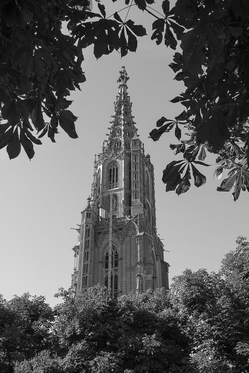Stephan-Redel-0064-1112-07198