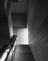 Stephan-Redel-0031-803-03083